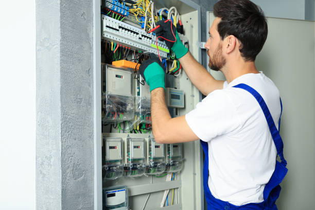 Best Best Electricians Near Me  in Dorr, MI