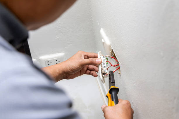 Best Electrical Repair Services  in Dorr, MI